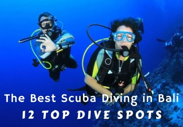 Scuba Diving Bali in Google